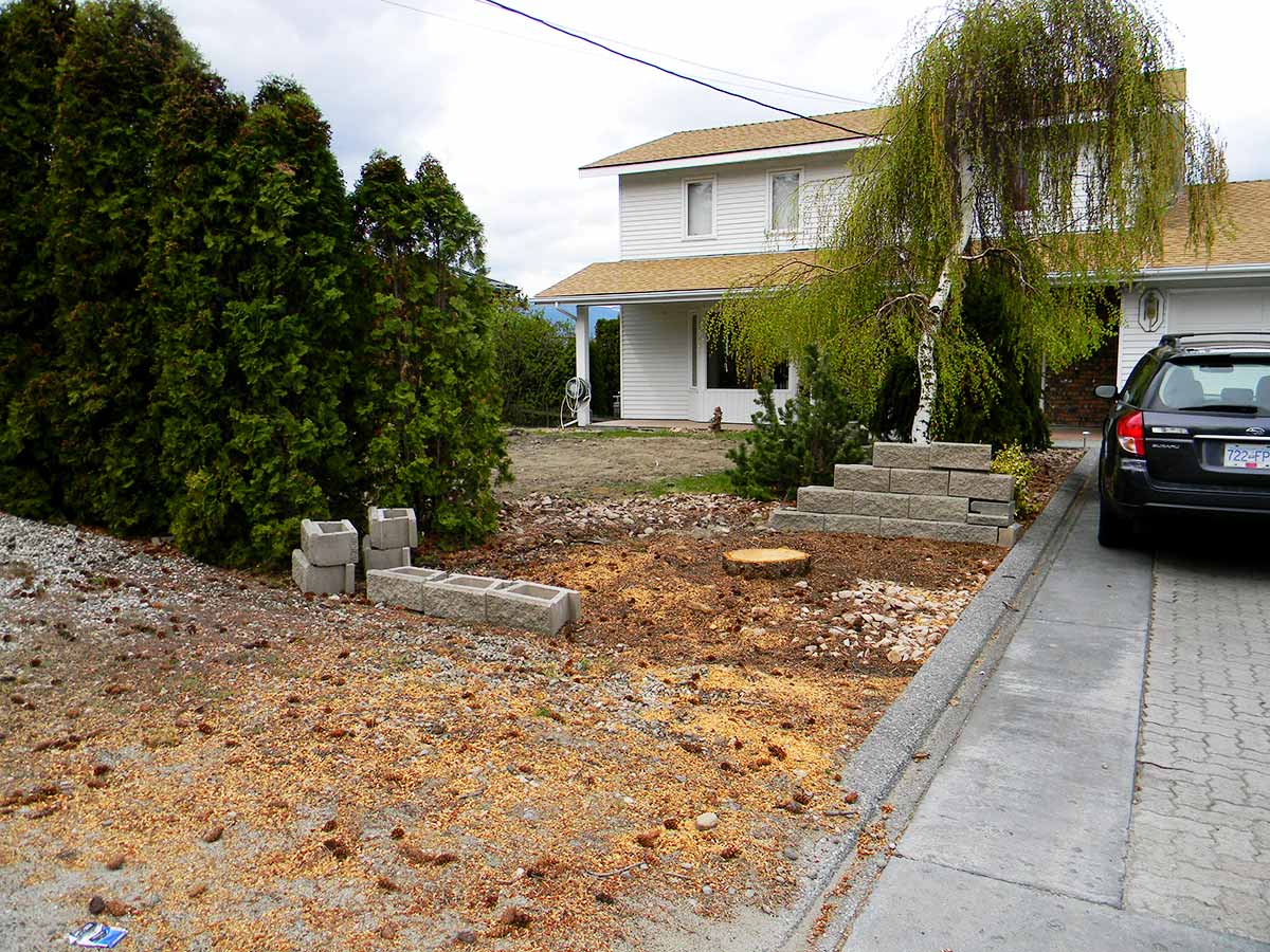 Achenbach street view Achenbach Garden street view before the xeriscape project