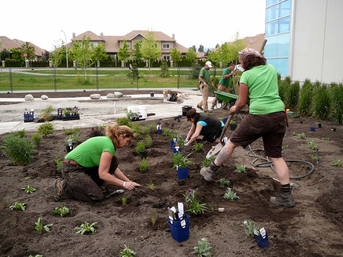 5-unH2O-planting-dig